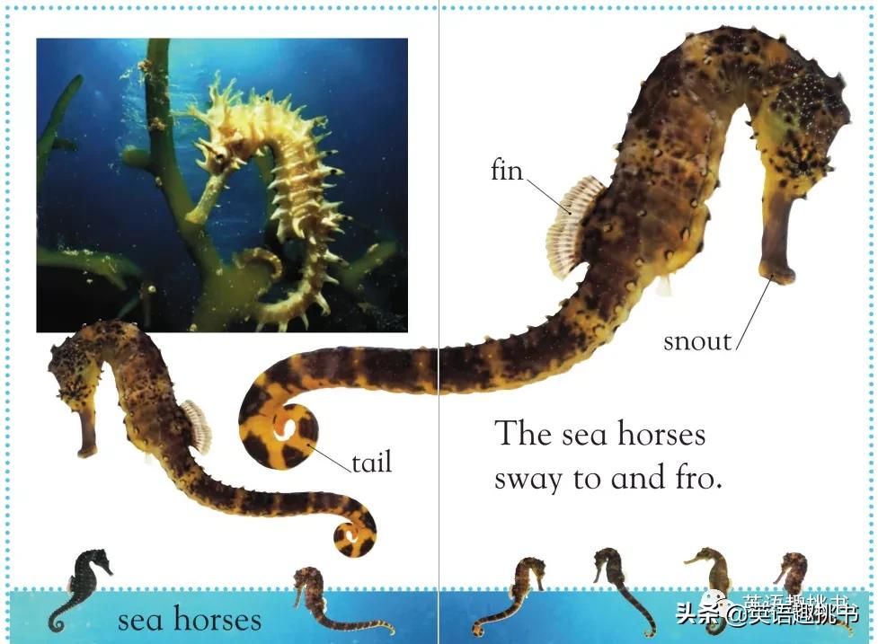 如果要推荐一本书要怎么推荐才好,如果一定要看一本书应该看什么书