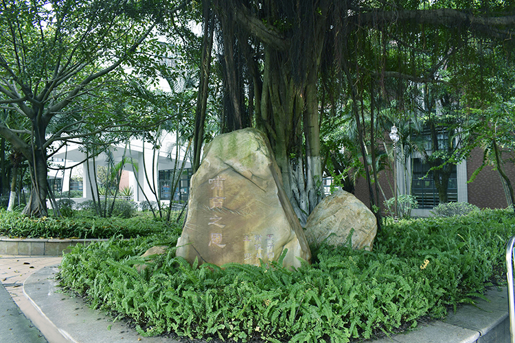 广东就业率高的专科院校,广东第一大专