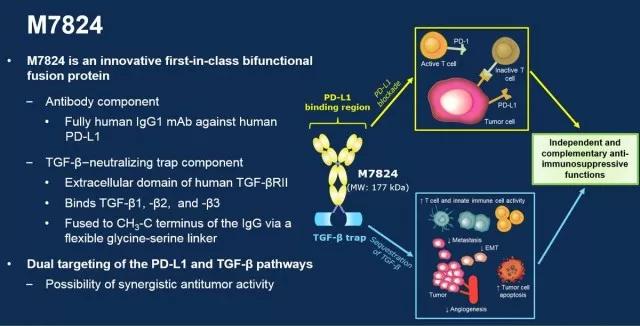 pd1耐药后又生效,PD-1耐药机制