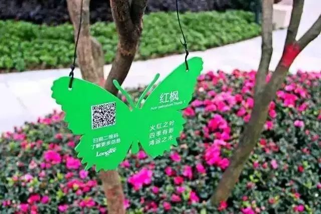 未来社区居住体验怎样,现代居住区的现状