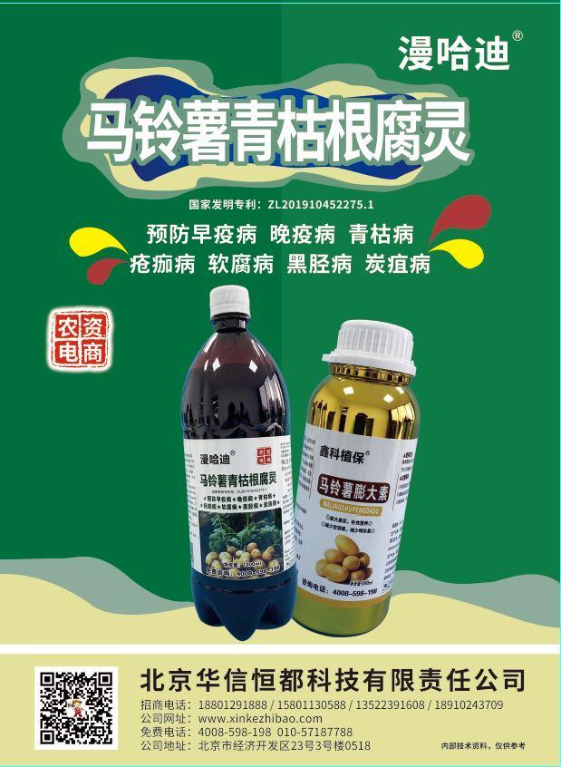 马铃薯晚疫病症状及防治方法,马铃薯高温病害