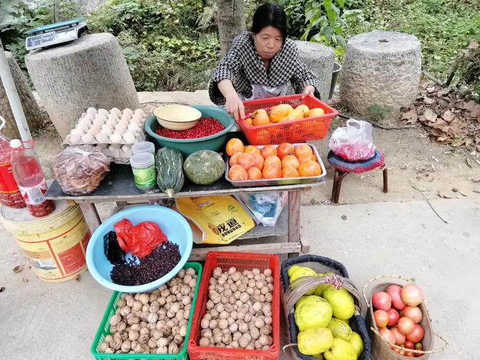 一只美丽的小蝴蝶,一只漂亮的小蝴蝶