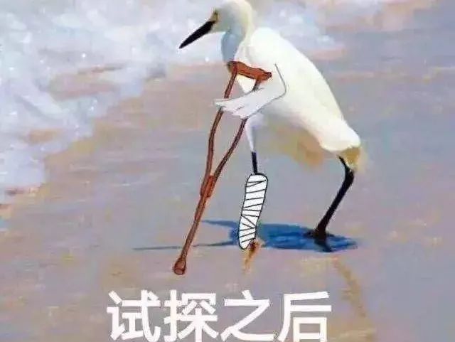 如果打架被警察抓了怎么办,打架去了派出所会有犯罪记录吗