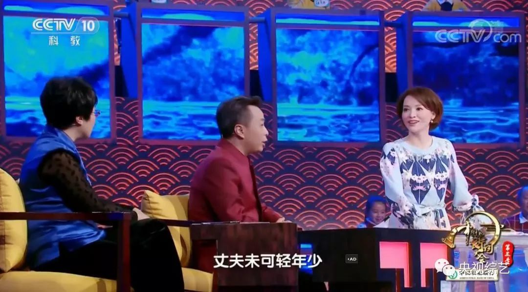 中国诗词大会第四季董卿经典语录,董卿关于四季诗词的开场词