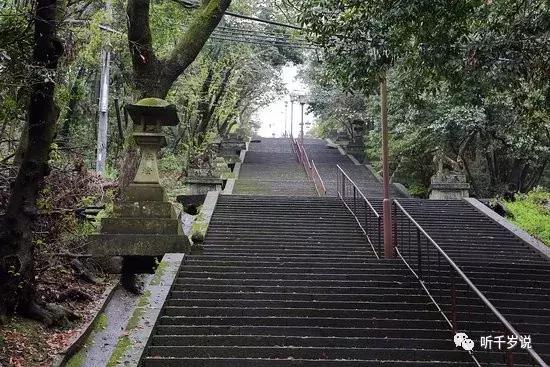 日本东京熊本熊,日本熊本游