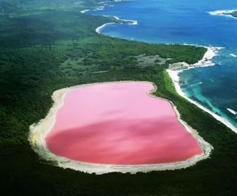 女神节有无与伦比的美丽,女神节浪漫游花海
