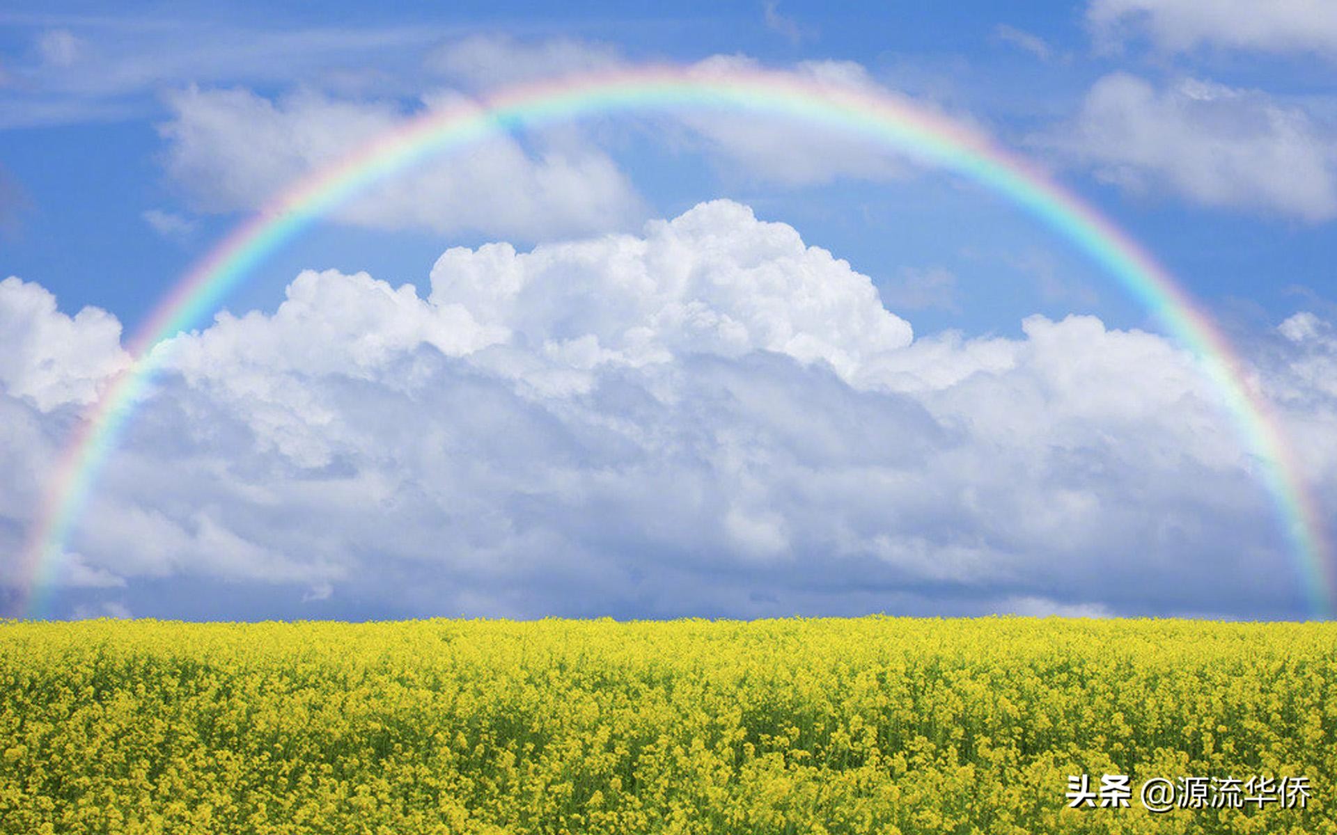 人生哲理讽刺讨厌的人,富有人生哲理的句子赏析