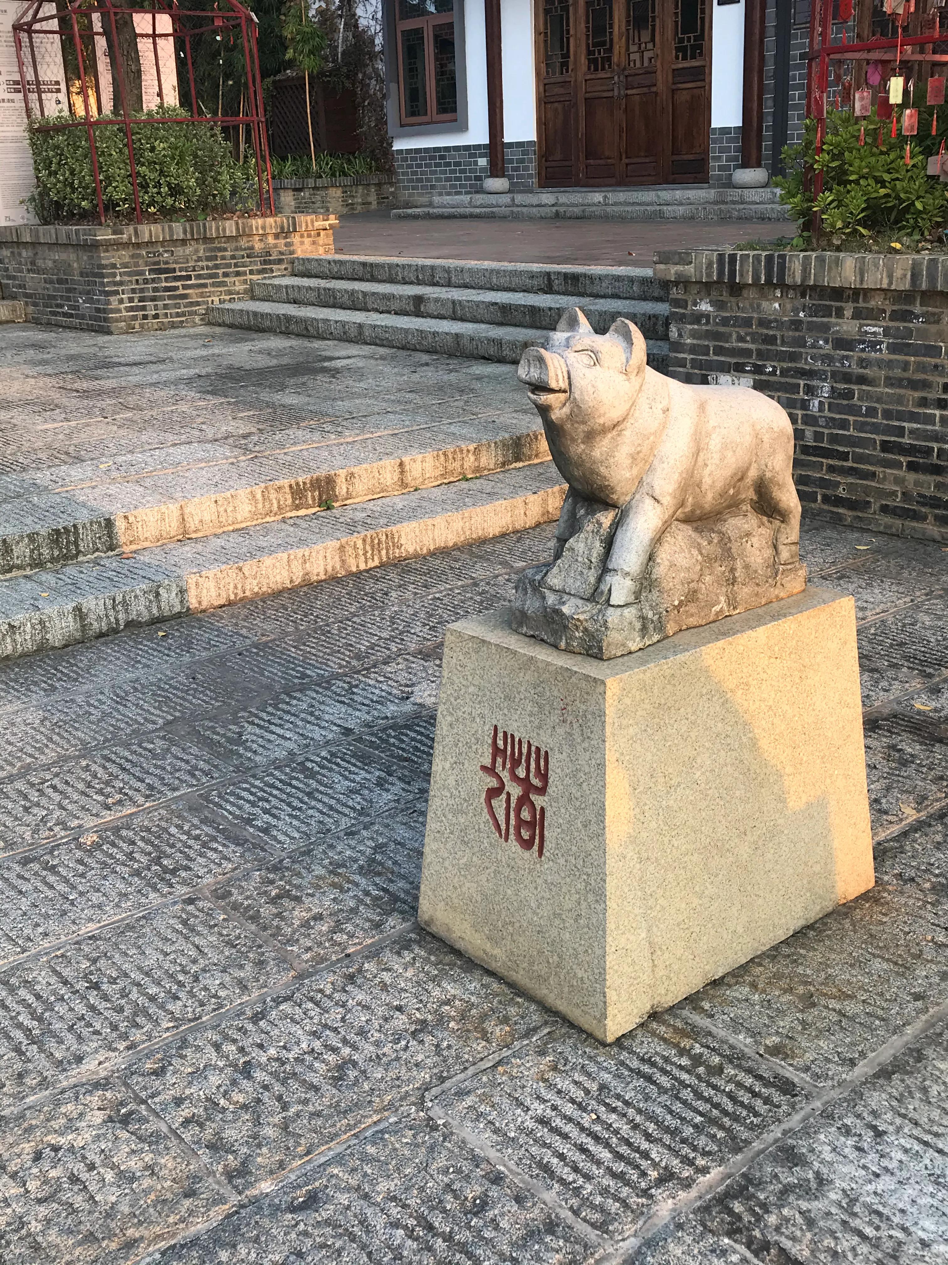 洋沙湖湿地公园游记,洋沙湖游记作文