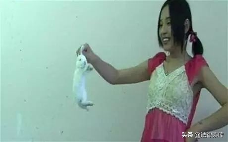 游伟教授：对于虐待动物，我们不能漠然