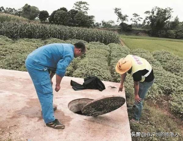 贵港市和玉林市什么关系,玉林跟贵港相比哪个城市好了