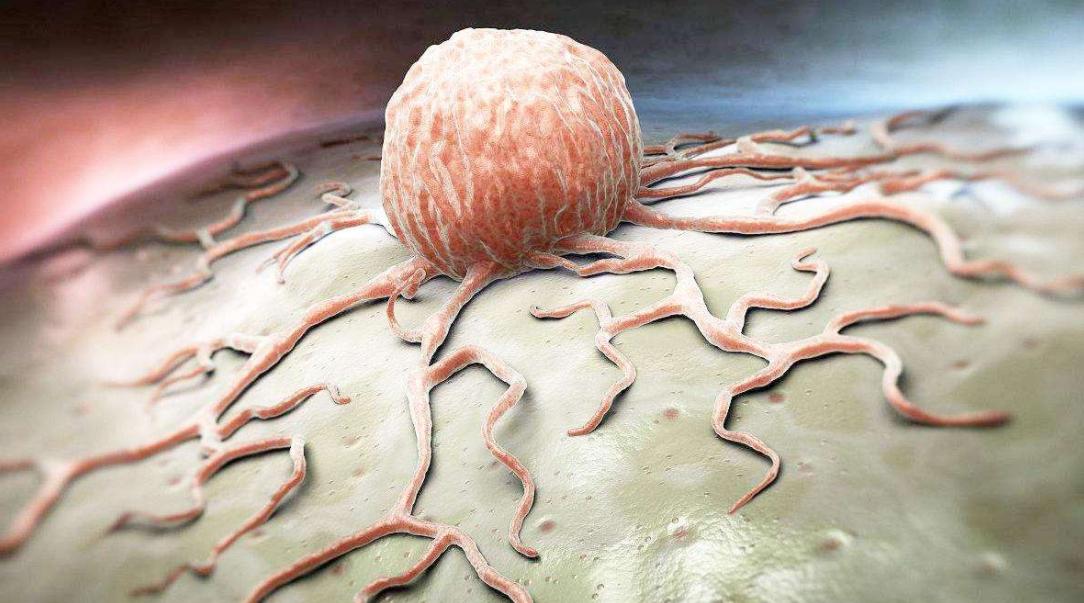 被证实抗癌的食物,抗癌防癌食物谣言