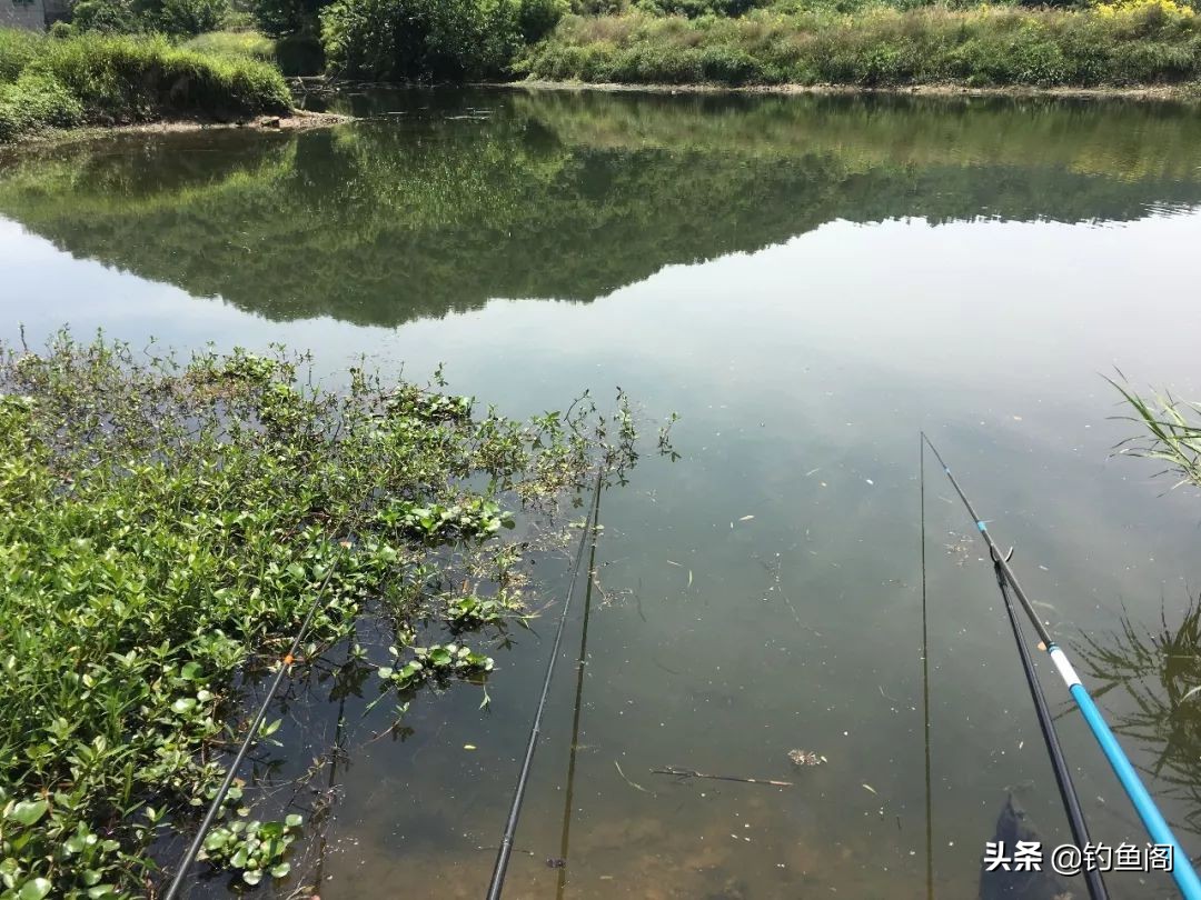 浮漂选漂,挑选浮漂的正确方法