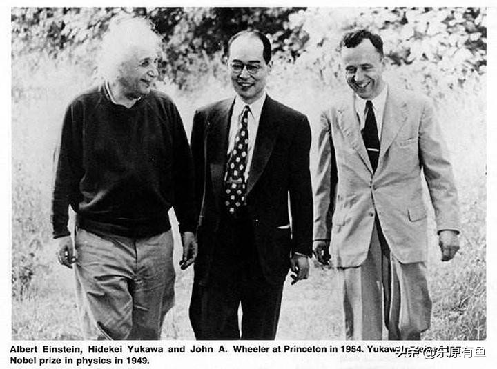 从诺贝尔的成功中你体会到了什么,诺贝尔奖从开始到现在的获得者