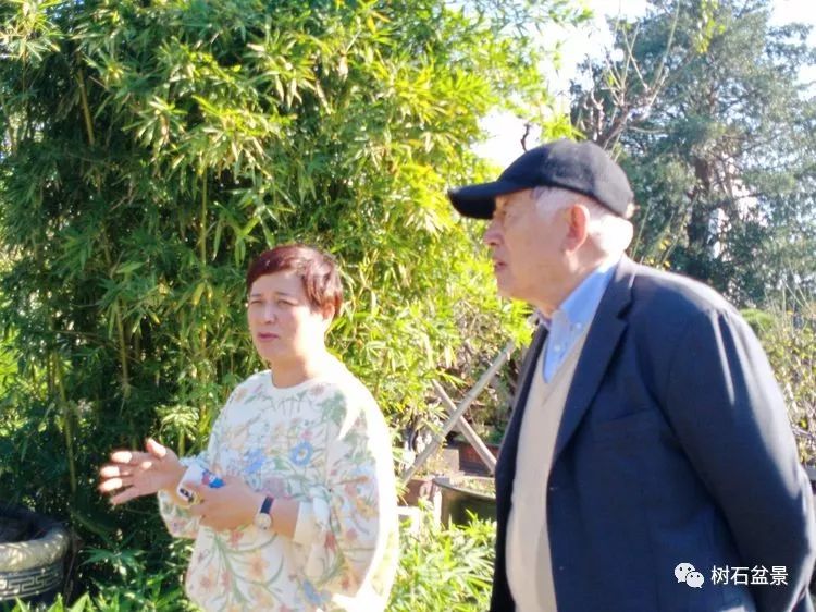 伟大使命复兴中国盆景艺术事业——2019中盆会大事回顾(下篇)