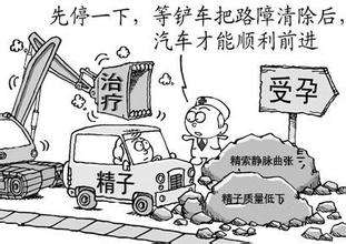 精索静脉是干嘛的,什么是精索静脉曲张精索是干嘛的