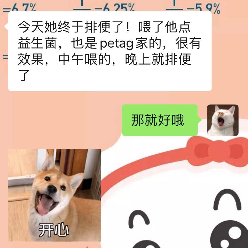 刚出生几天的小奶猫怎么养,刚养的小奶猫怎么养