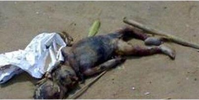 水鬼水猴子是真实存在的吗,为什么水猴子要称为水鬼