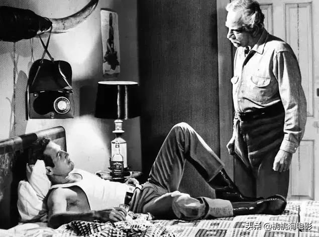 值得一看的一百部电影,重温经典100部电影