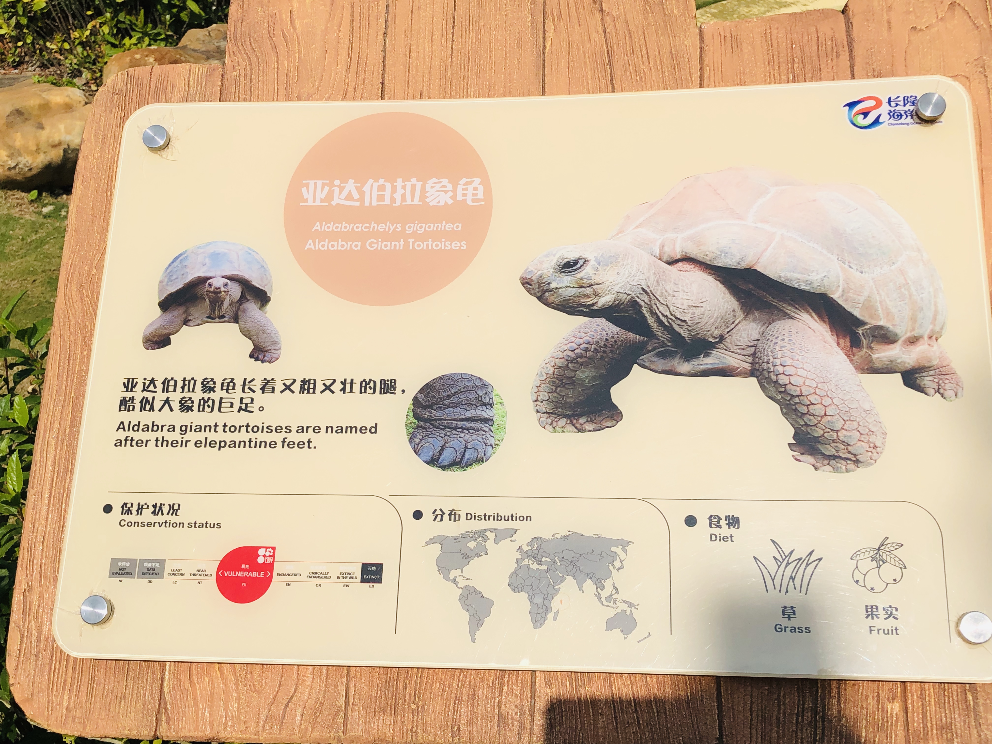 寒假带孩子去长隆玩什么,长隆寒假旅游攻略