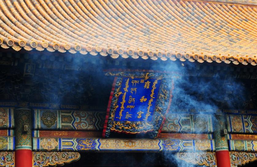 我在原始做代购全文阅读免费,我在古代做代购小说