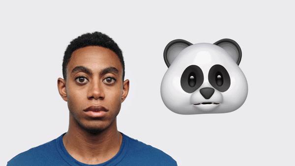 一文读懂nmn,一文看懂人类逻辑