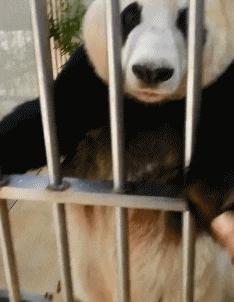 女友又胖又懒还脾气差,女朋友贪吃很胖怎么办