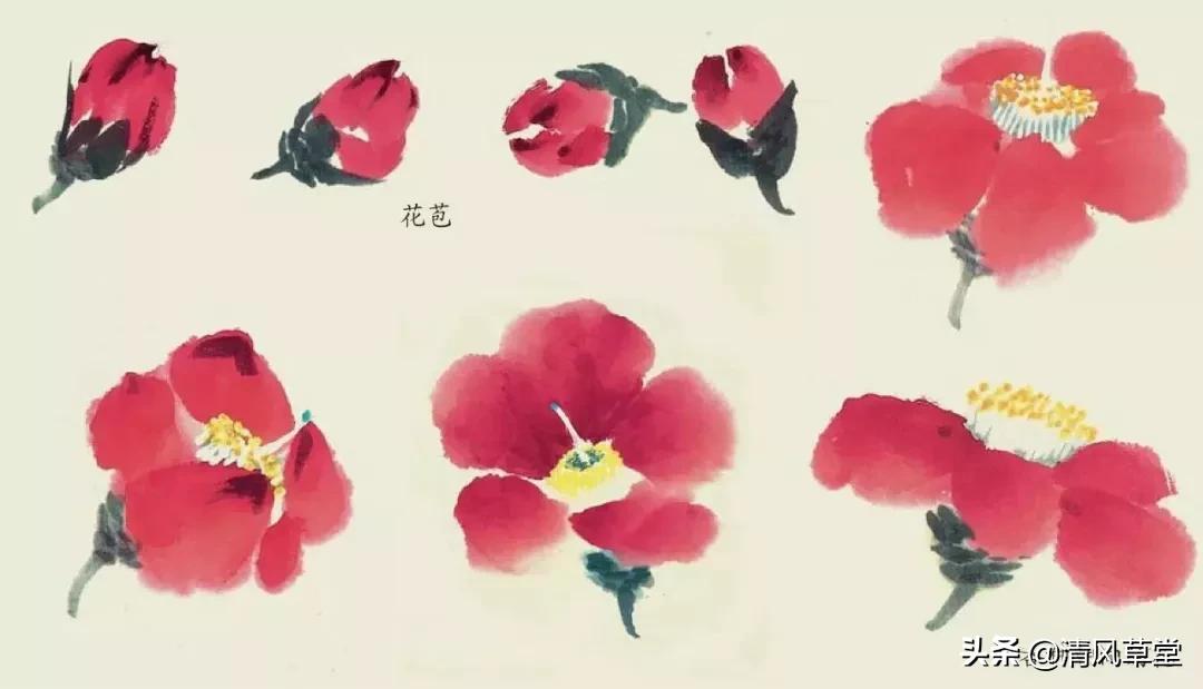 少儿国画花卉画法视频,各种花卉的100种画法