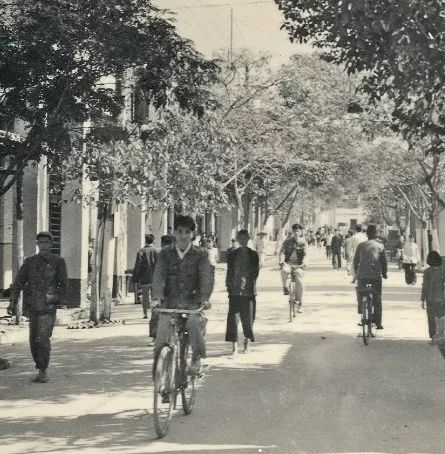 凤凰自行车有2个品牌,凤凰旗下高端自行车品牌