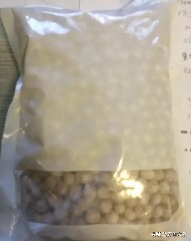 怎么样才可以做个美丽的鱼缸,给自己一个完美解释