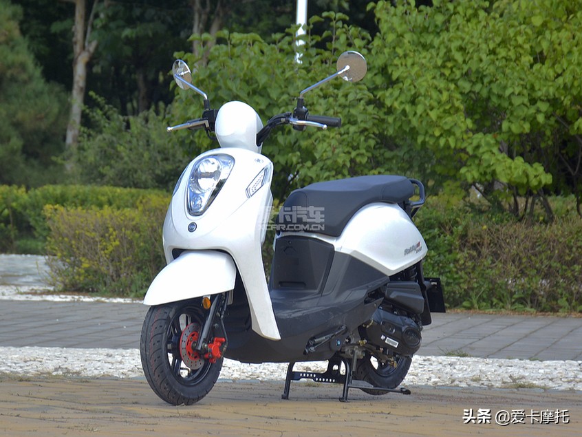 骑士的情人节,骑士情人节礼物