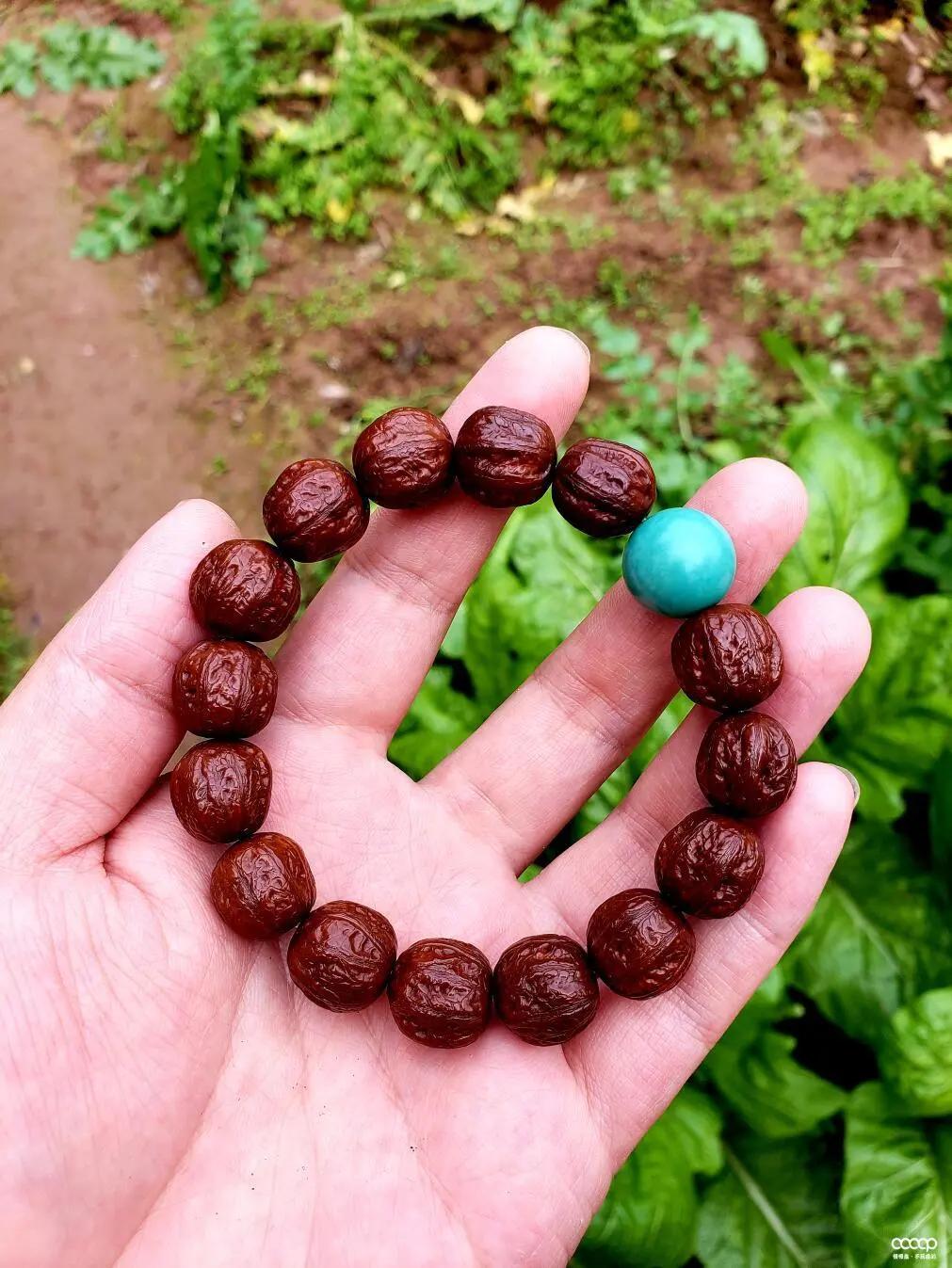 小核桃手串有黄还值得玩吗,为什么玩小核桃手串的少