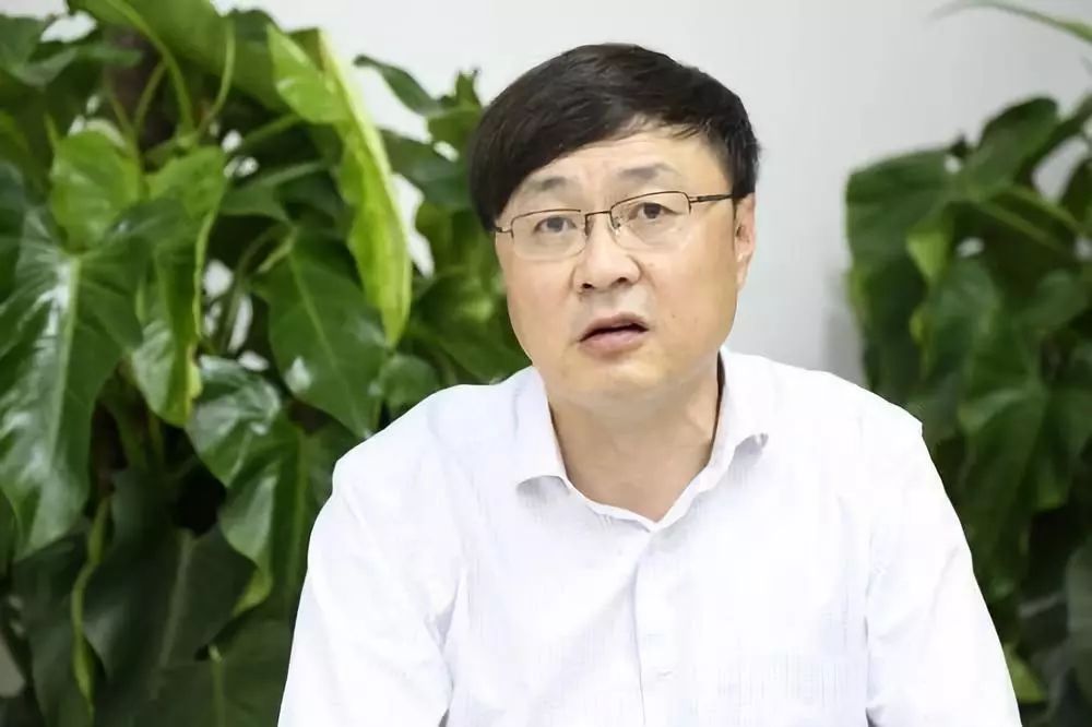 80版猴票收藏,猴票1980收藏纪念版