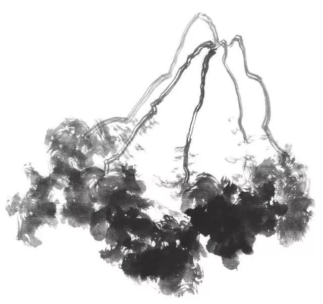 白描荷花100幅画法,荷花的画法白描图