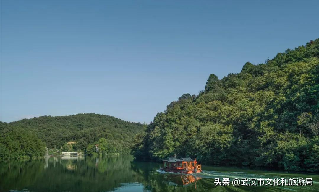 花young官方购票,花young套餐29元103g联通