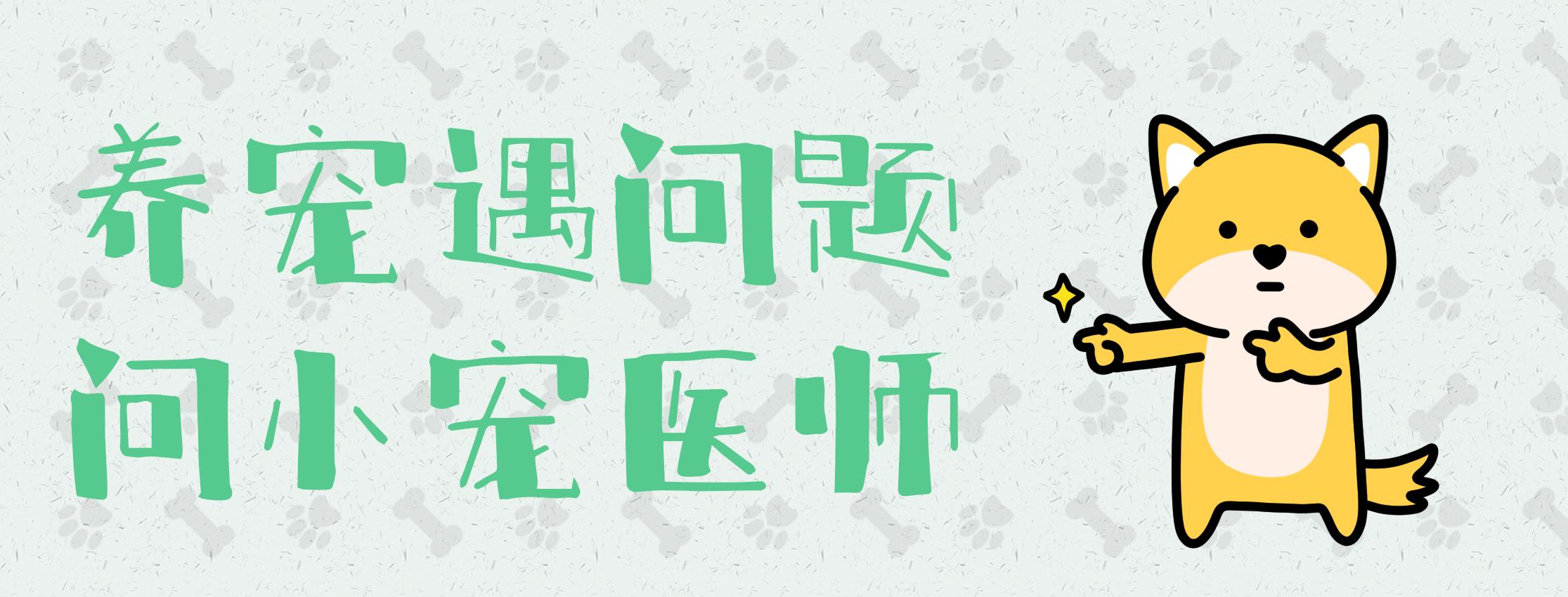 狗喜欢睡在自己的尿里怎么办,幼狗容易尿在自己窝里吗