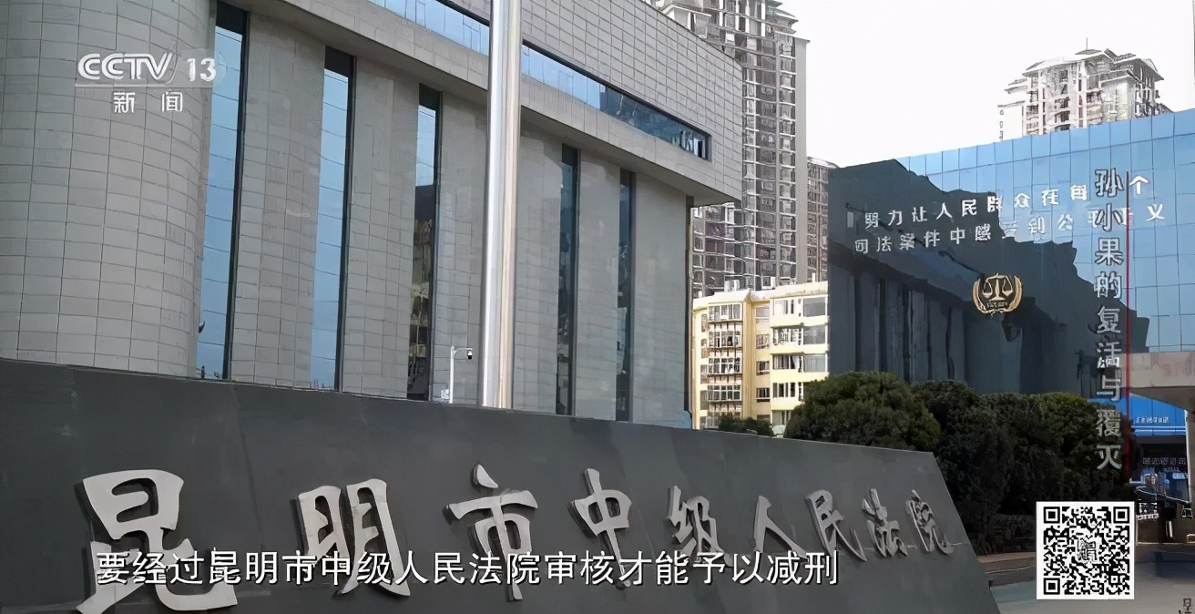 社会与法孙小果,社会评论孙小果