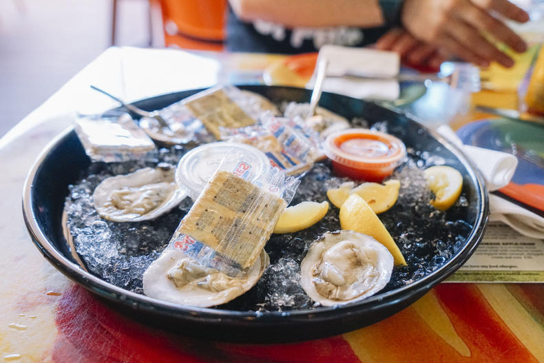 佛罗里达阳光之州,美国阳光之州佛罗里达