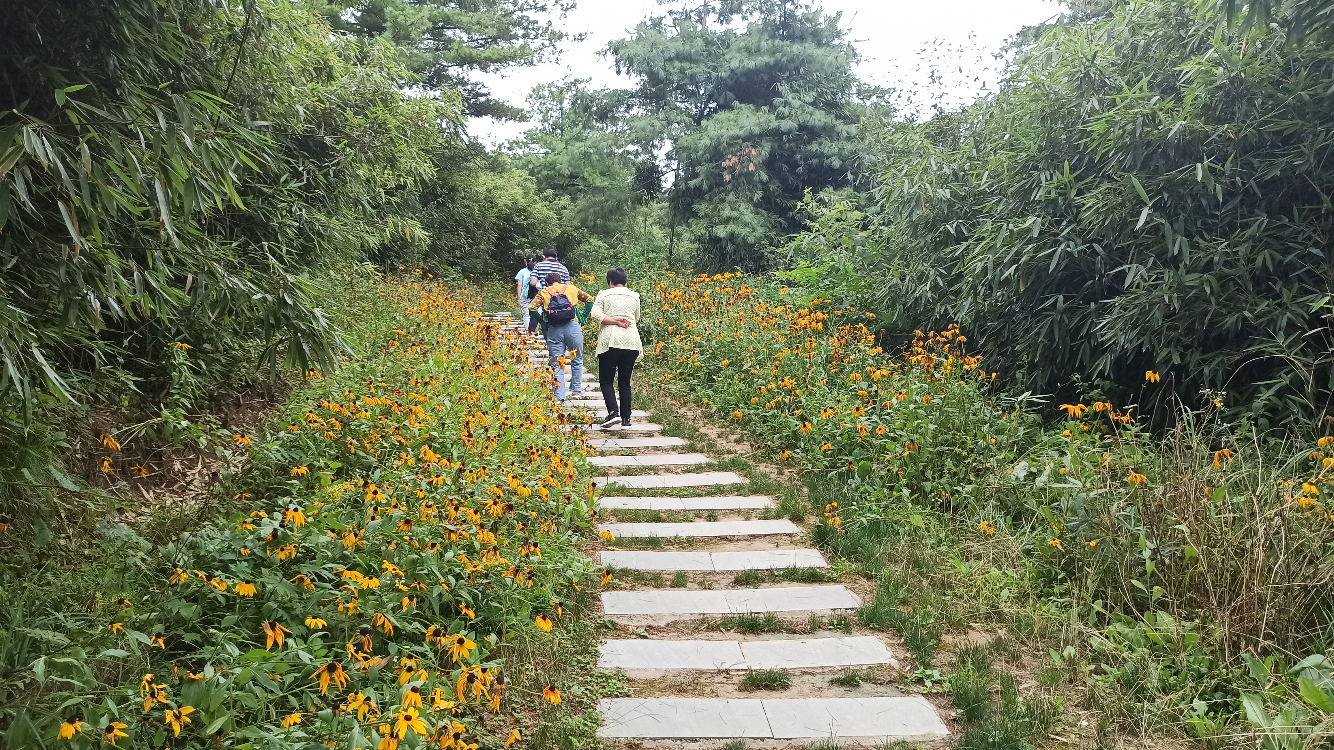 镇巴县草坝景区旅游攻略,陕西镇巴草坝旅游景点