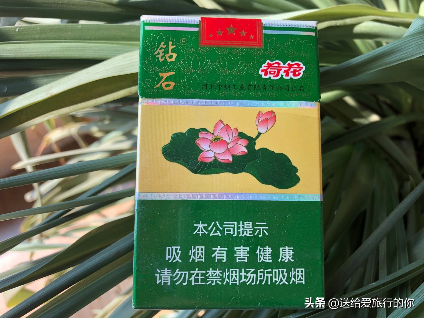 一支香烟飘在空中,一支烟去环游世界