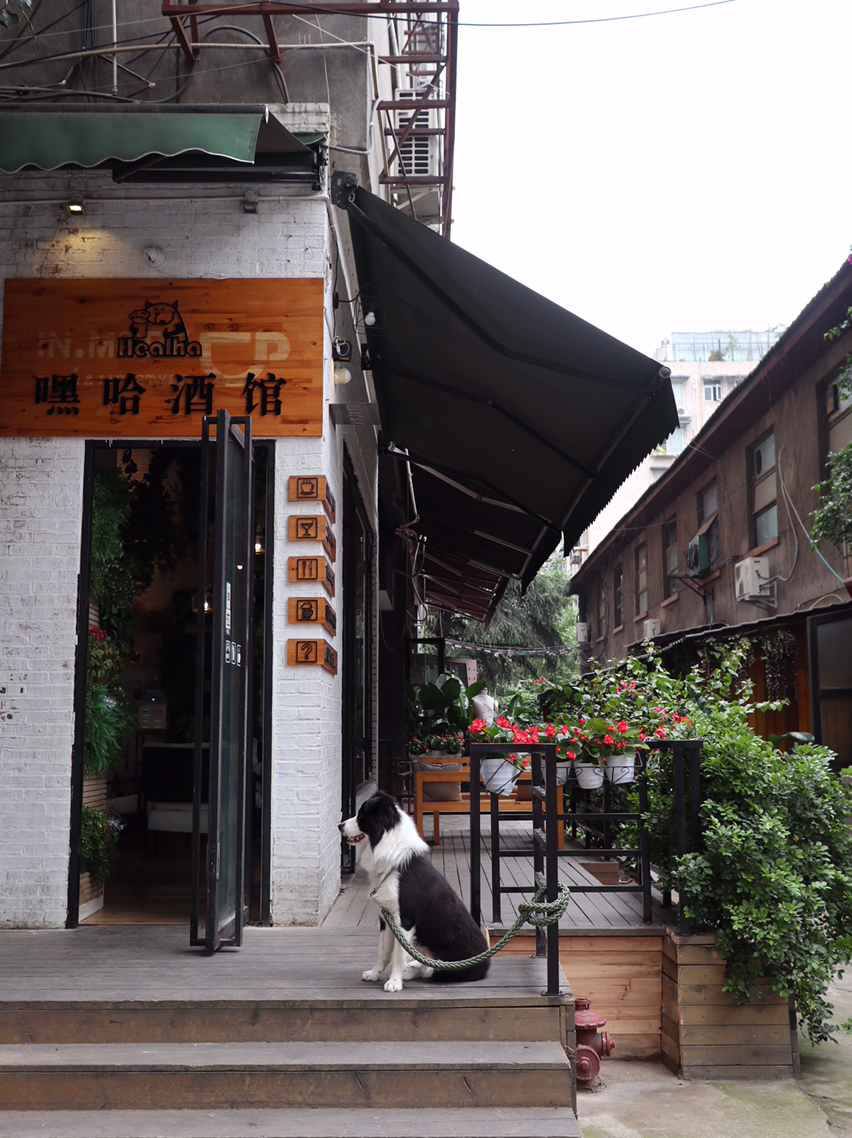 成都亲子游攻略五天四晚,成都亲子游旅游攻略2-3岁孩子