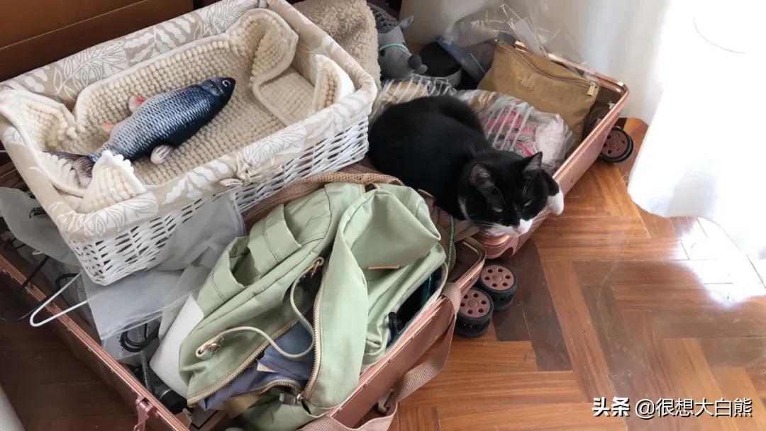 我阳性了可以出去取快递吗,我阳性了