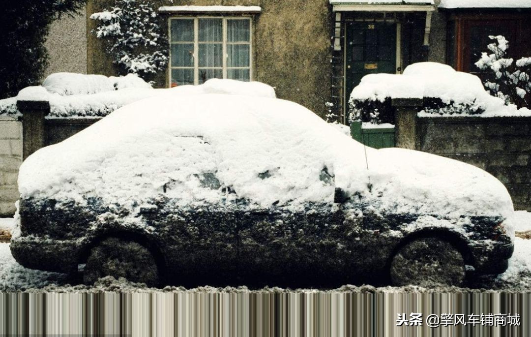 冬日猫咪保养指南,猫咪冬天开车需要检查什么