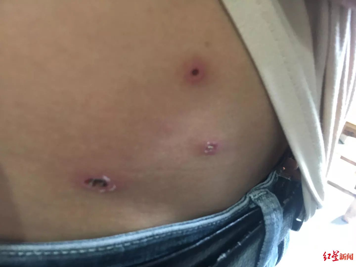 被胡蜂蜇死的养蜂人,野蜂蜂巢被摘无家可归发狂蜇死人