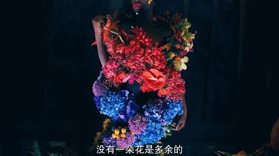 这也能拍出花?网飞又开挂了,每集都让我惊掉下巴