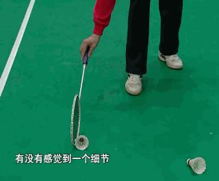 羽球教学基础握拍,羽毛球动作怎么练