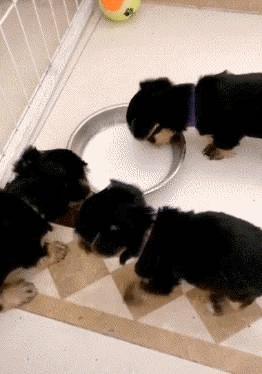 网恋奔现经历搞笑,网恋奔现搞笑的笑话