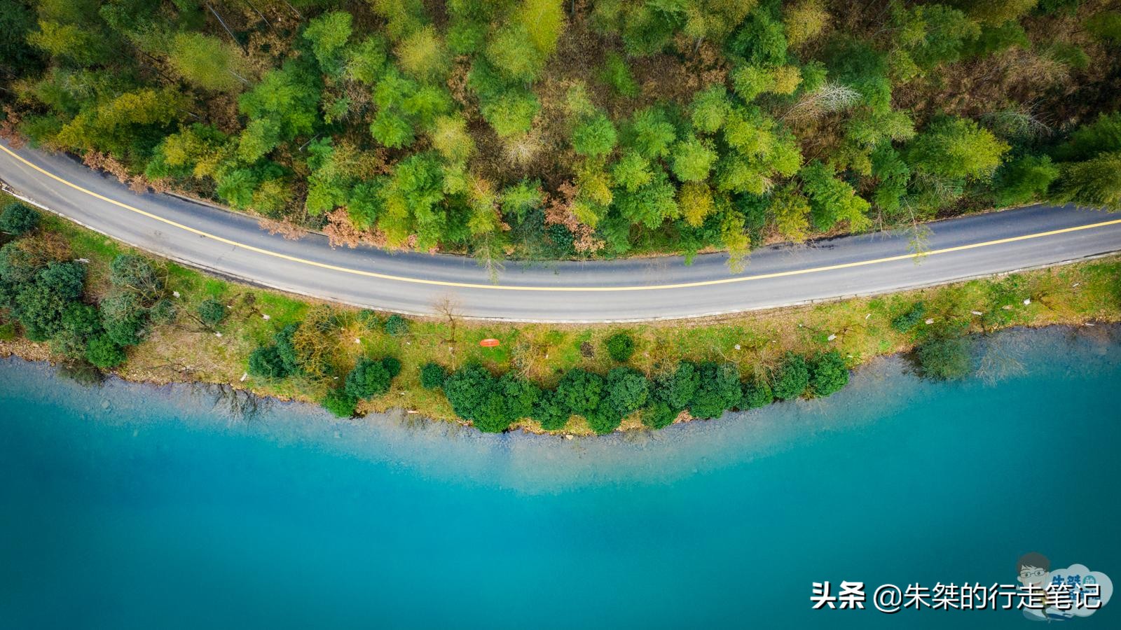 全国有名竹海,华东第一竹海的宜兴