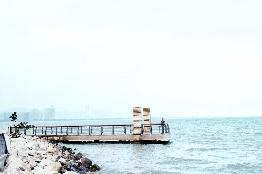 深圳湾公园这里有什么好吃的,深圳湾在哪里