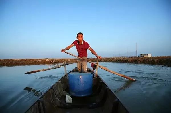 病入膏肓的吃货 (病入膏肓的美味)