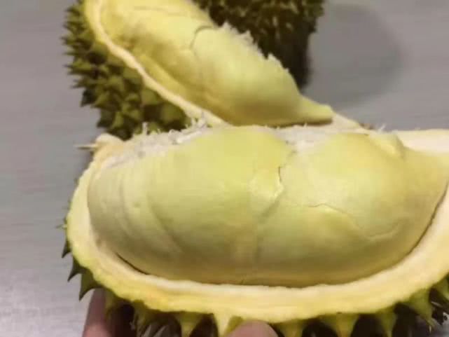 榴莲货架期,液氮榴莲货架期